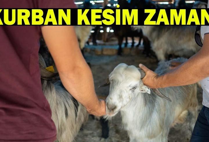 KURBAN KESİM VAKTİ NE ZAMAN BAŞLAR VE BİTER? Diyanet Bilgisine göre kurban kesim zamanı