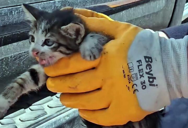 Duyarlı vatandaşlar fark etti, itfaiye seferber oldu