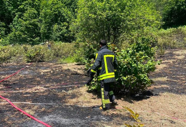 Türkeli'de otluk alanda çıkan yangın söndürüldü