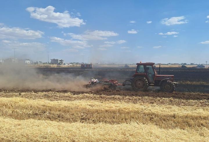 Mardin’de buğday tarlasında yangın