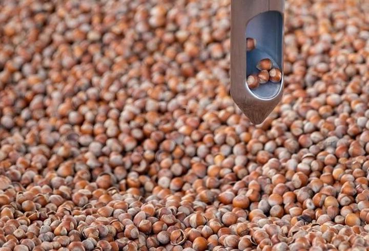 Ticaret borsalarında 9 ayda 314 bin tonun üzerinde fındık işlem gördü