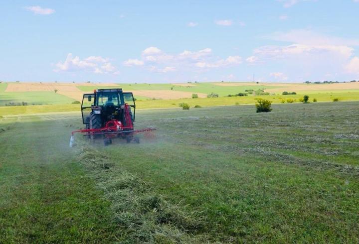 Edirne’deki meralarda ot biçimleri sürüyor