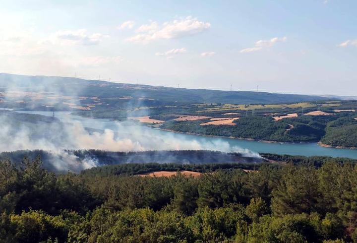 Kırklareli'de ormanlara giriş yasağı