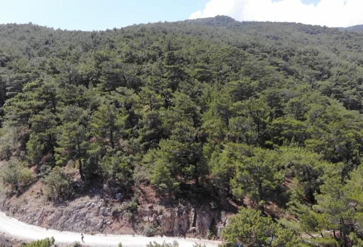 Bilecik'te ormanlık alan ve yaylalara girişler yasaklandı
