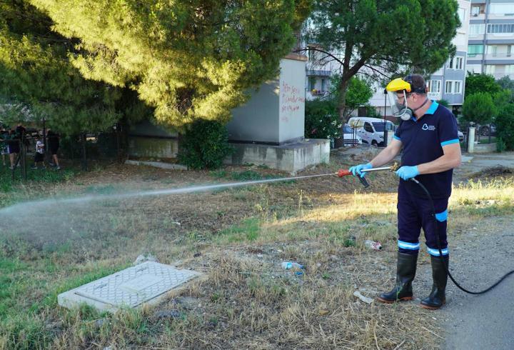 Balıkesir'de vektörle mücadelede tam zamanlı mesai