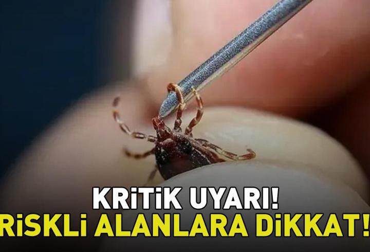 Aman dikkat! Uzman isimden kene uyarısı! 'Belirtiler 3. günden itibaren ortaya çıkabiliyor'