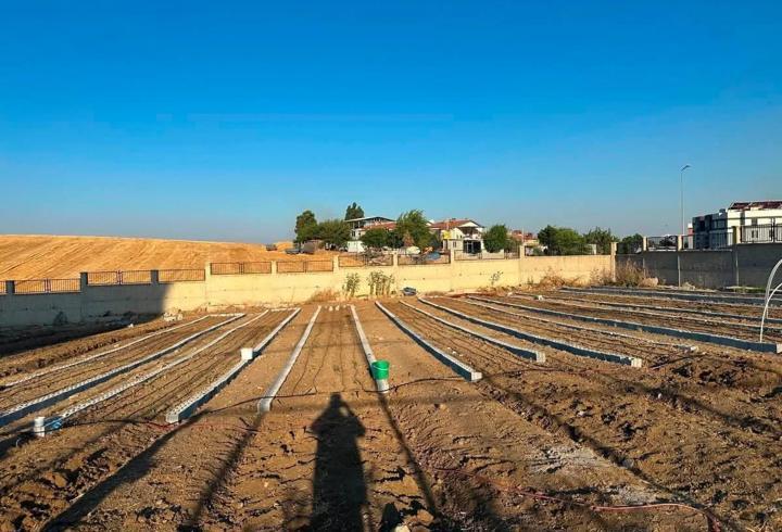 Kırıkhan'da ata tohumları yaygınlaşacak
