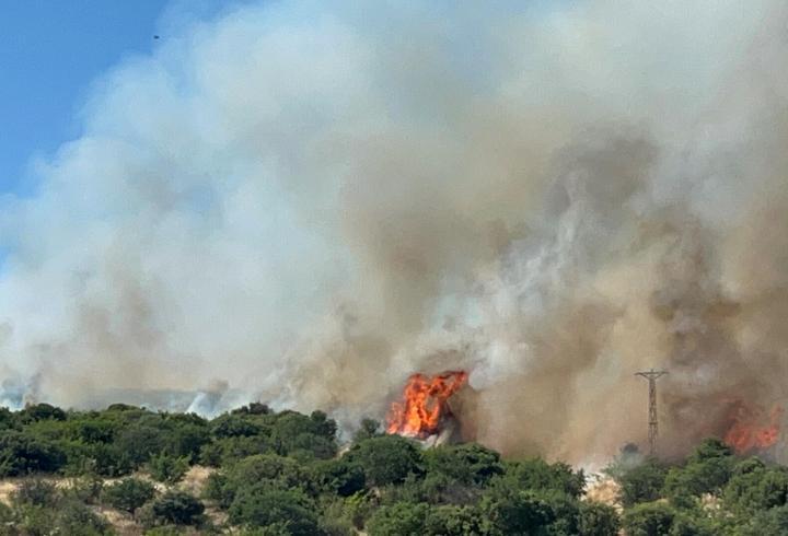 Çanakkale'de bozuk ormanda yangın