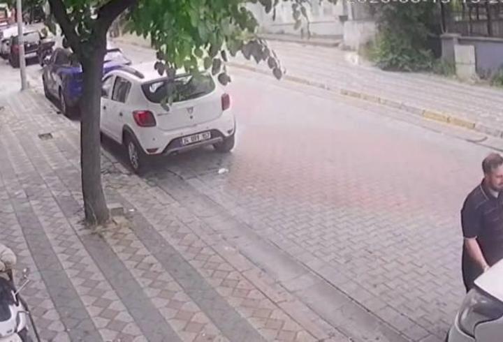 Sultangazi'de kaputun altından kuş, direksiyonun içinden kertenkele çıktı