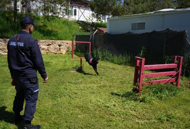 Jandarmanın iz takip köpeği "Becet" emekliye ayrıldı