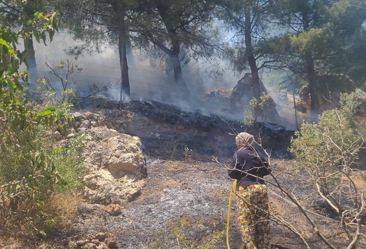 Kahramanmaraş’ta orman yangını