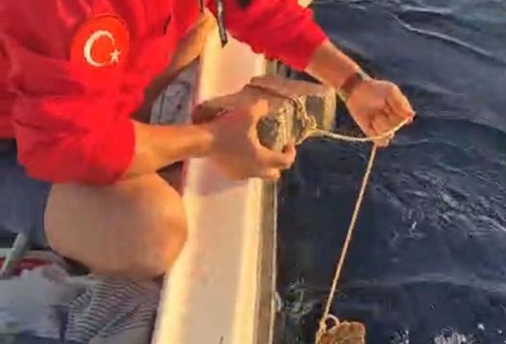 Ayağına parke taşı bağlanmış deniz kaplumbağasını kurtardılar