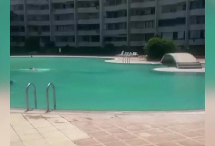 Havuza "haşema" yasağına soruşturma