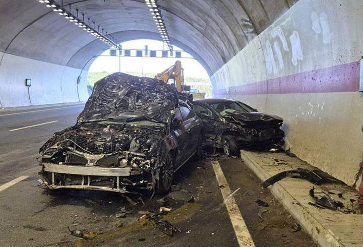 İstanbul'da tünelde feci kaza: 10 inek telef oldu, araçlar hurdaya döndü