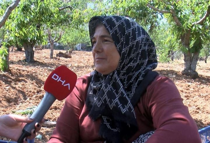 Gaziantep'te önce kuraklık sonra fırtınadan etkilenen kiraz, ihraç edilemeyecek/Ek fotoğraflar