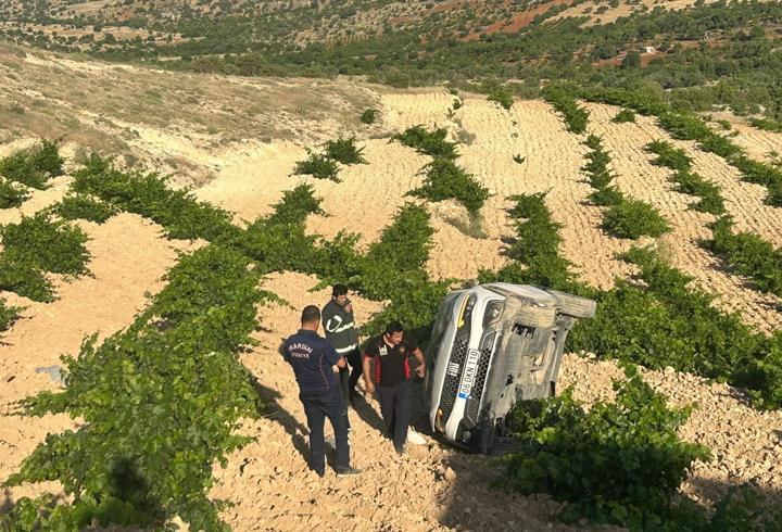 Mardin’de tarlaya devrilen otomobildeki 4 kişi yaralandı