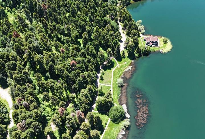 Gölcük’te çam ormanları dronla görüntülendi