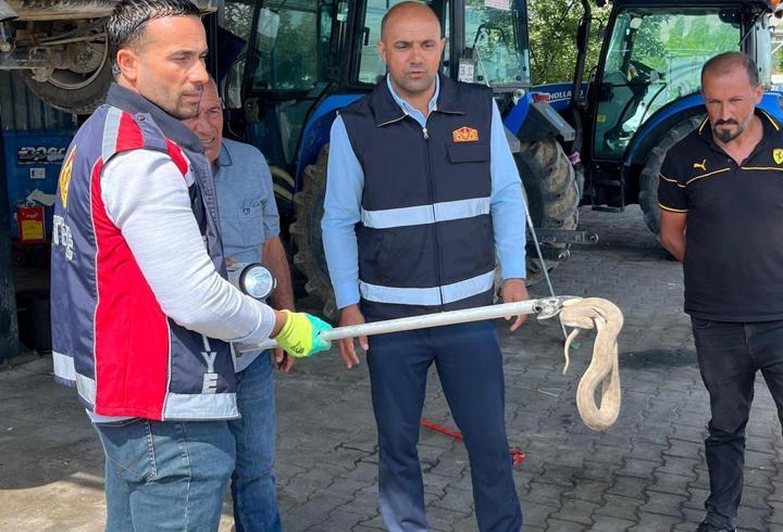 Vinçle kaldırılan otomobilin motor bölümündeki yılan çıkarıldı