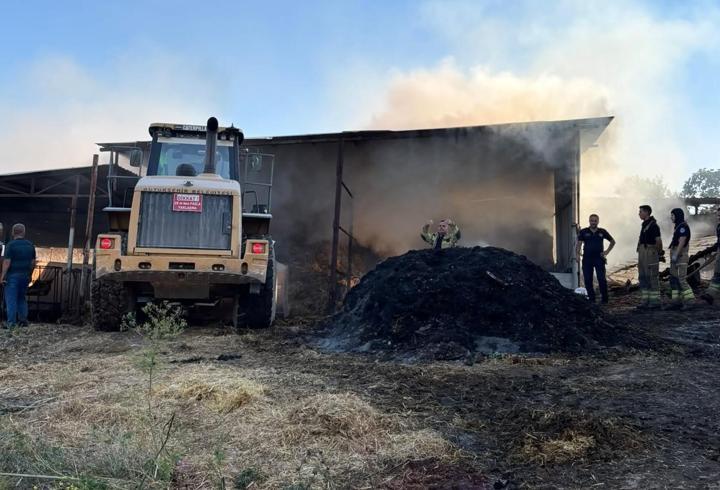 Bursa'da çiftlik yangınında 4 büyükbaş hayvan öldü