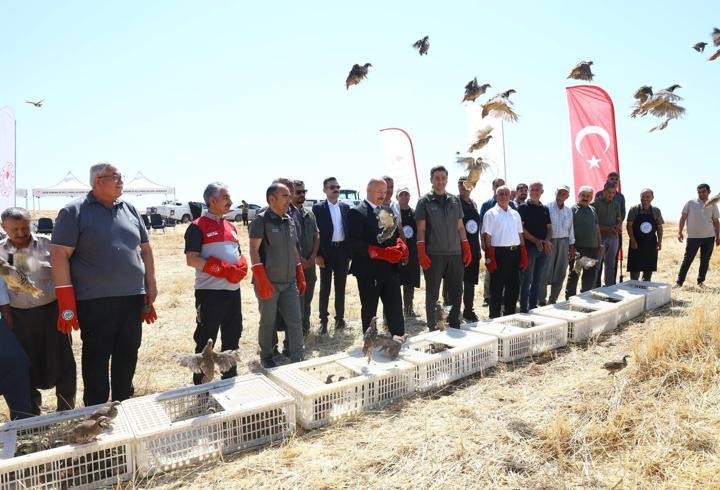 Adıyaman’da 1000 keklik doğaya salındı