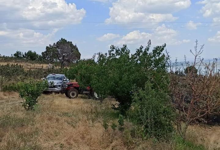 Zirai alan yangını büyümeden kontrol altına alındı