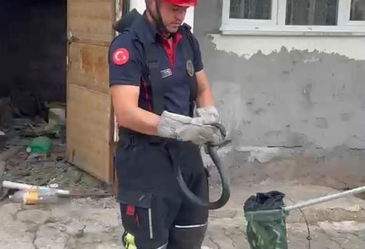 Paniğe neden olan yılanı itfaiye ekipleri yakaladı