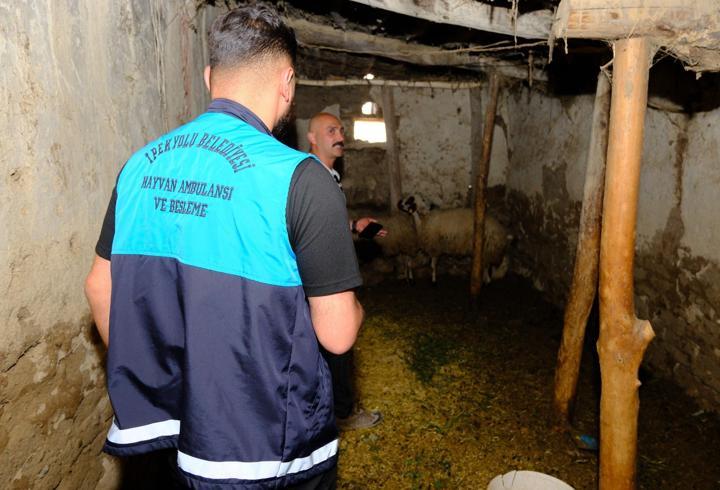 Van’da kuduz vakası sonrası mahalle karantinaya alındı