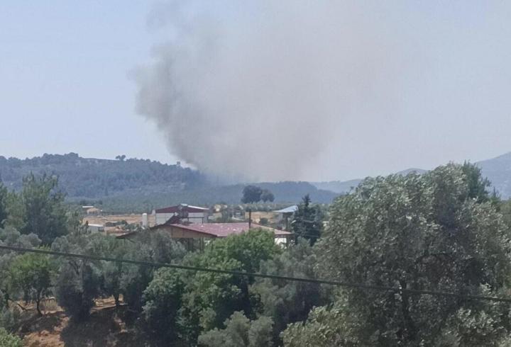 Muğla'da yangın: Alevler ormanlık alana sıçradı