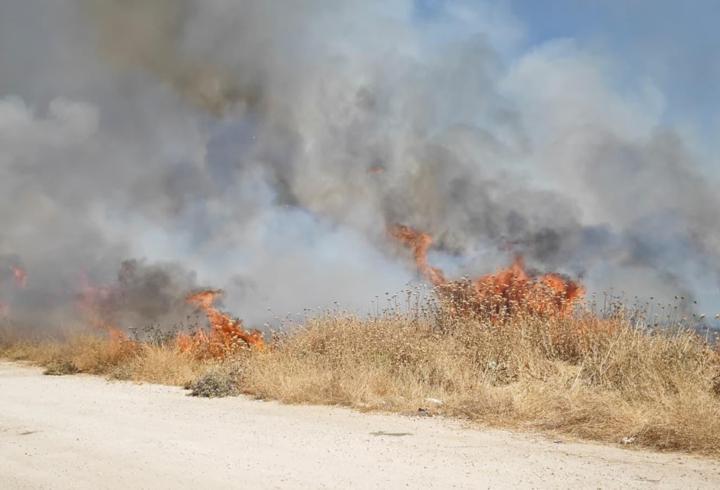 Nusaybin'de anız yangını söndürüldü