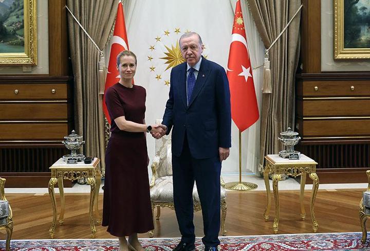 Cumhurbaşkanı Erdoğan, AB heyetini kabul etti