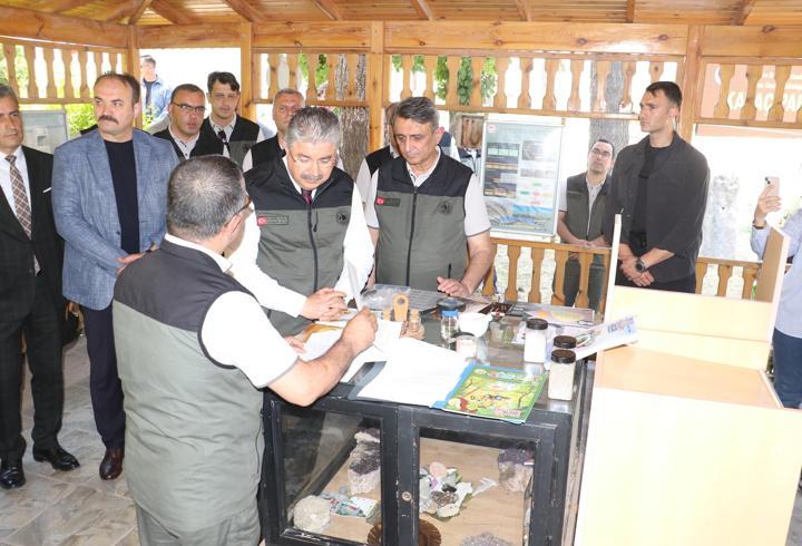 Bursa’da yanan ormanlar, Eskişehir’de üretilen fidanlarla yeşillenecek