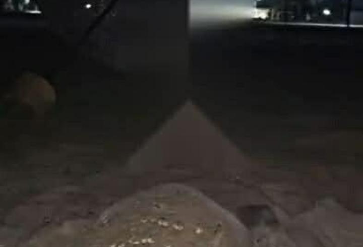 Kuşadası'nda ilk caretta caretta yuvası Güzelçamlı'da tespit edildi