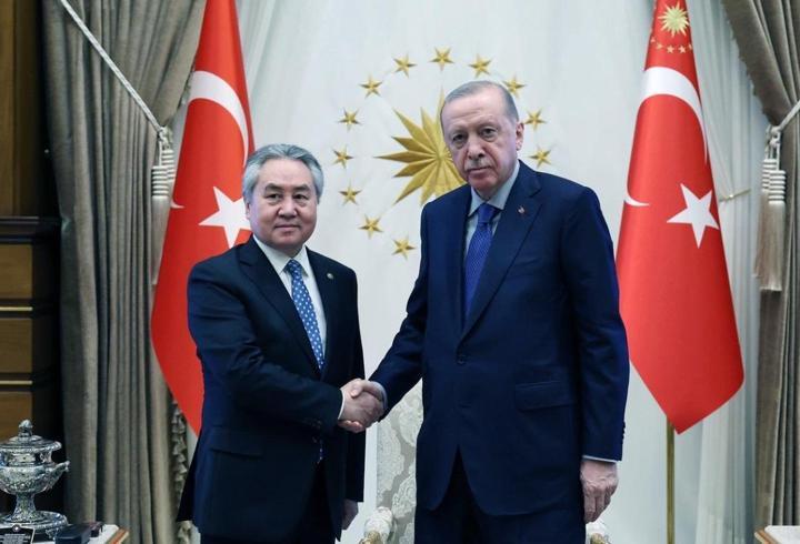 Cumhurbaşkanı Erdoğan, Kırgızistan Dışişleri Bakanı Kulubayev ile görüştü