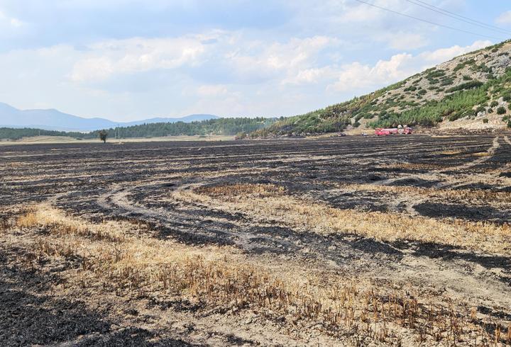Ormana sıçrayan arazi yangını söndürüldü