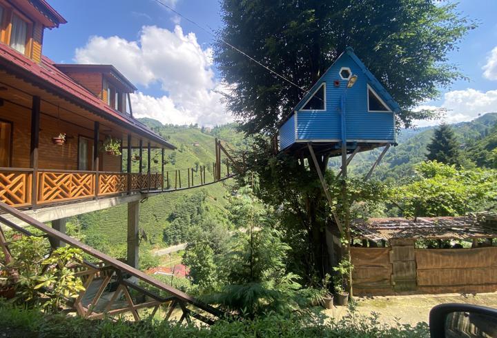 Rize'de iki kardeşin ağaç evine balkondan asma köprüyle ulaşım