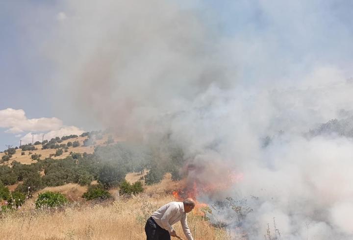 Mardin'de çıkan orman yangınına müdahale ediliyor