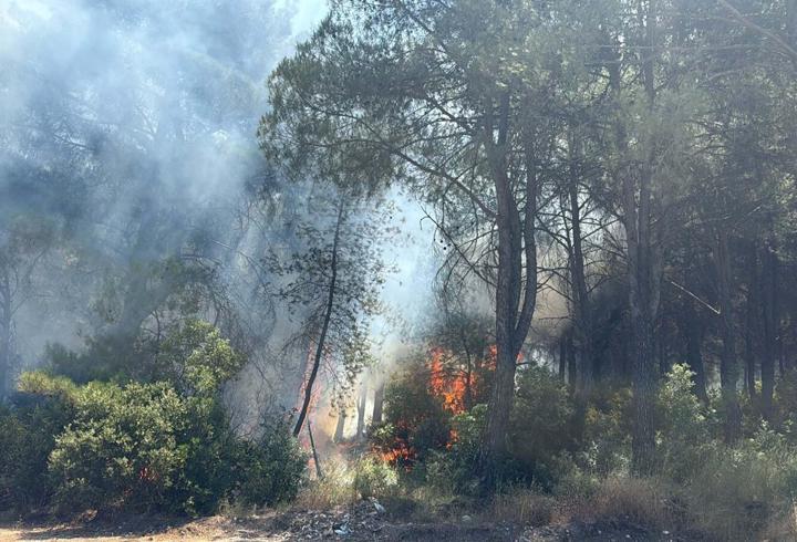 İzmir'in 2 ilçesindeki orman yangınlarına ilişkin 2 gözaltı