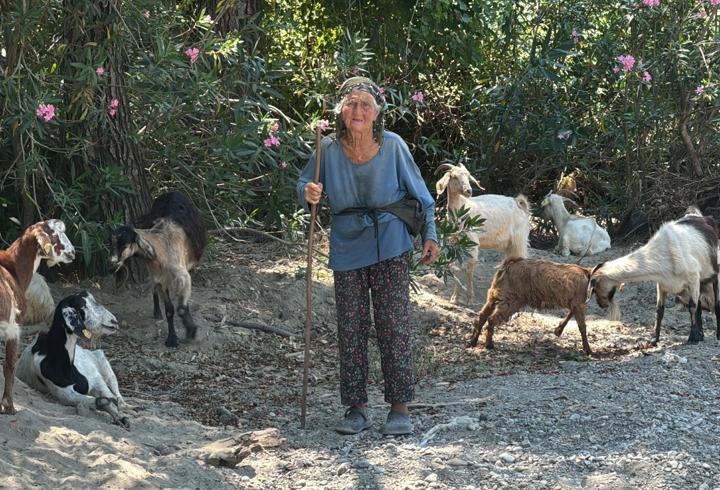 90 yaşında, elinde değneğiyle her gün merada