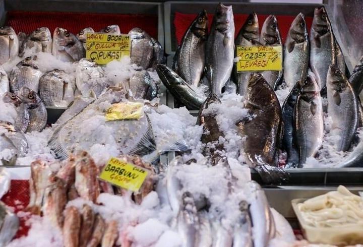Su ürünleri ihracatında tarihi rekor! İlk 6 ayda 1,1 milyar doları aştı
