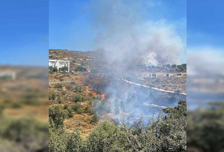 Son dakika haberi... Türk edebiyatının önde gelen şair ve yazarlarından Ahmet Telli, tedavi gördüğü hastanede hayatını kaybetti.3