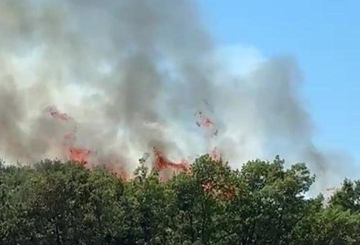 Bursa'da orman yangını! Kestel'de alevlere havadan ve karadan müdahale