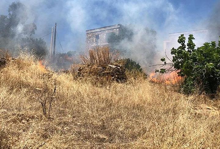 Bodrum'da otluk alanda çıkan yangın, ormana sıçradı