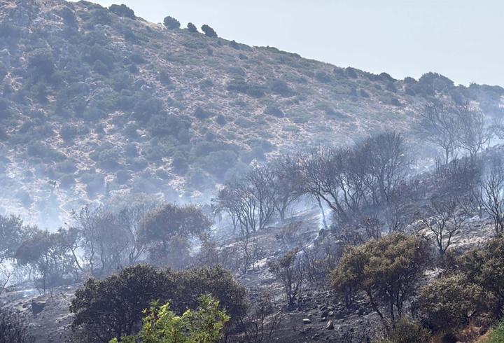 Bodrum'da makilik alanda çıkan yangın kontrol altında