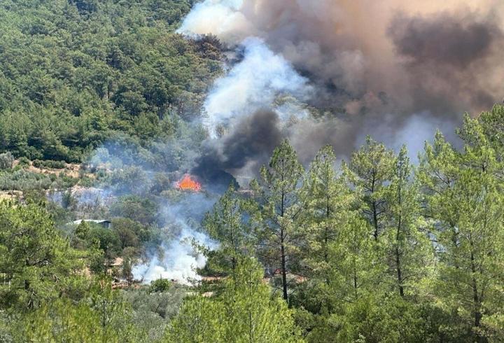 3 ilde orman, 1 ilde fabrika yangını: Müdahale sürüyor