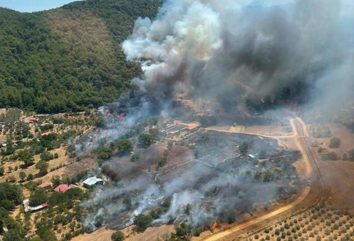 Muğla'da orman yangını