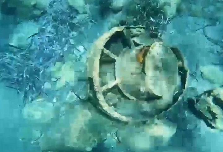 Denizde yüzerken fark etti! Muğla'da mayın paniği