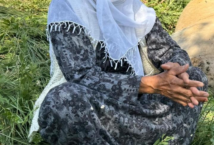 Hakkari'de merada otlayan ineğinin telef olduğunu gören kadın üzüntü yaşadı