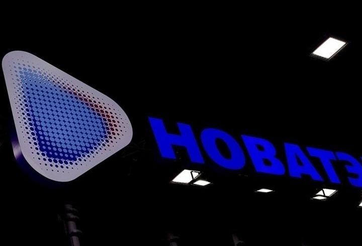 Novatek'in ilk yarı net karı geriledi! Gelirler artarken karlılık düştü