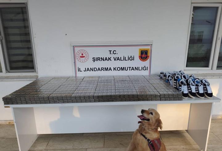 Şırnak'ta 9 milyon liralık kaçak ürün ele geçirildi