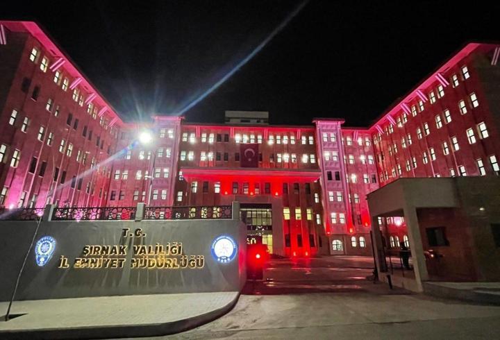 Şırnak'ta 12 düzensiz göçmen yakalandı